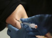 Ini Daftar Lengkap 23 Vaksin Dewasa Rekomendasi PAPDI Tahun 2024