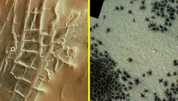 Ratusan “Laba-laba Hitam” Terlihat di Kota Inca Misterius di Mars 