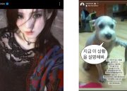 Kisah Menyedihkan Anjing Pegang Pisau di Instagram Han So Hee Kala Bantah Rumor Pacaran dengan Ryu Jun Yeol Mantan Hyeri