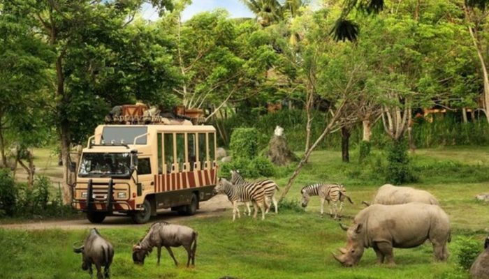 Sambut Libur Sekolah, Taman Safari Indonesia Luncurkan Deretan Wahana Baru