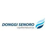 PT Donggi-Senoro LNG (DSLNG)
