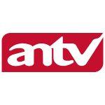 PT Cakrawala Andalas Televisi (ANTV)