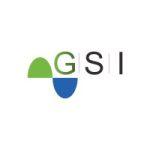 GSI Group